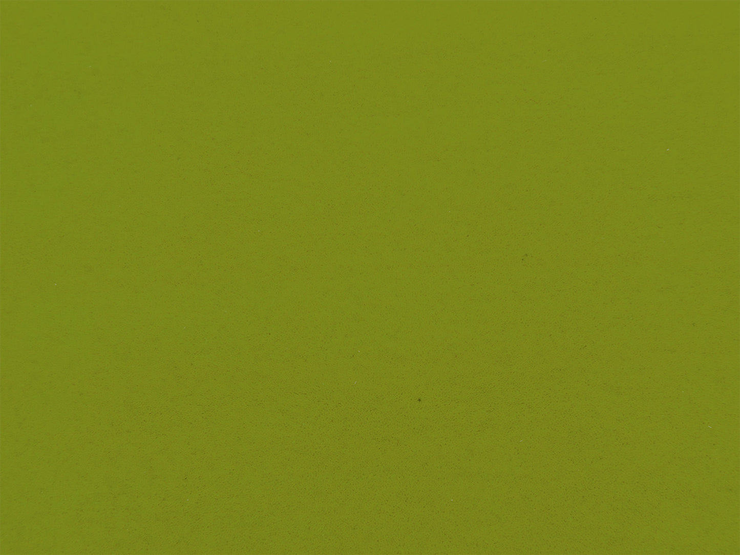 Solid Olive Green Wool Rug | Hand Tufted Modern Green Area Rug
