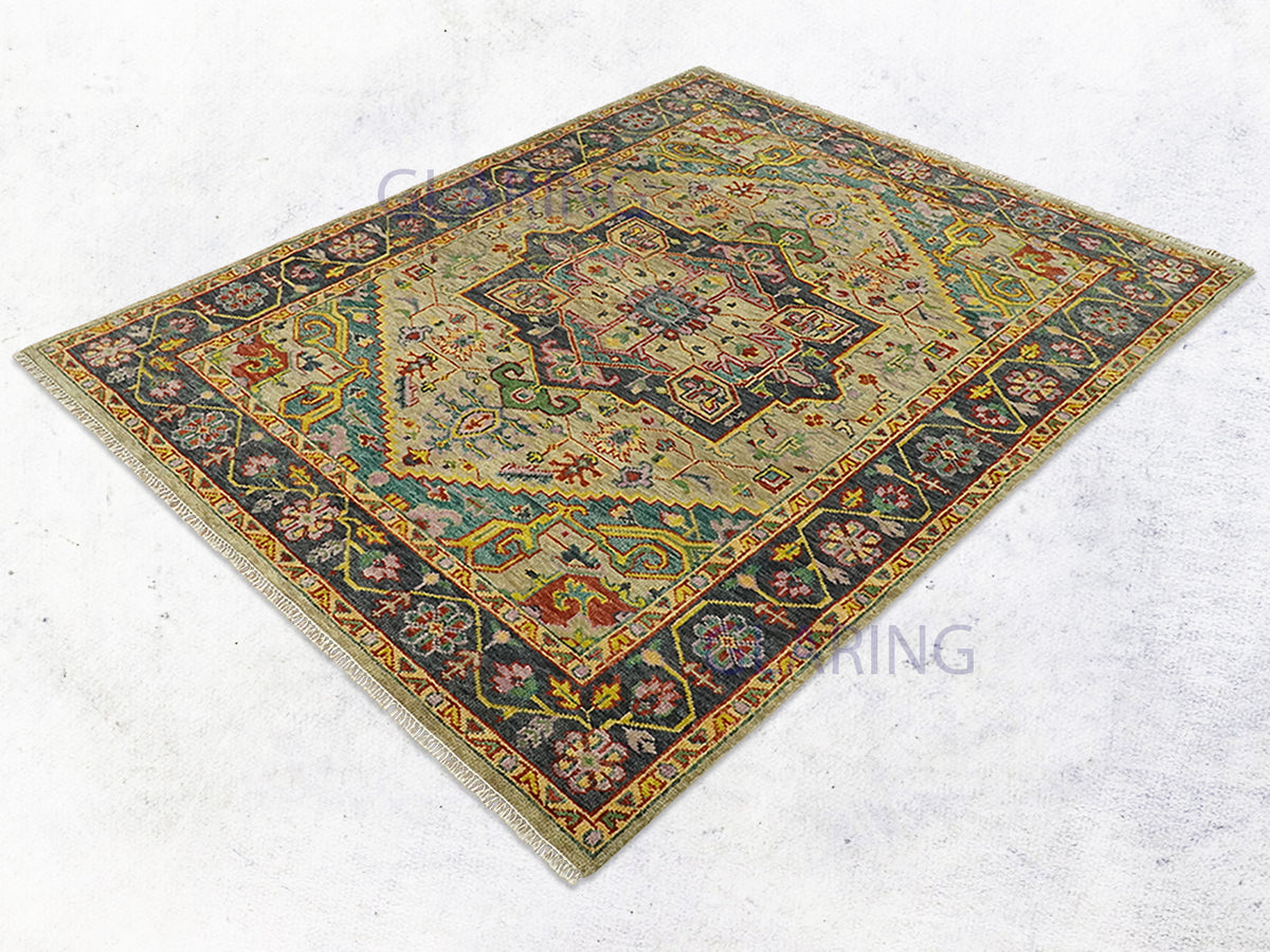Hand Knotted Wool Oriental Rug | Traditional Persian Style Rug in Pink, Blue & Charcoal